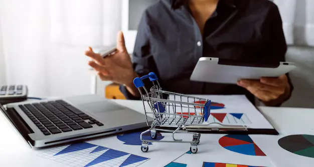 NetSuite eCommerce